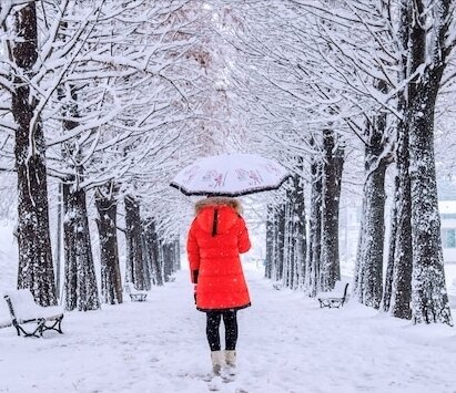 Фото из свободных источников. 