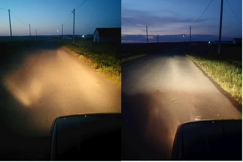 Фото с портала Яндекс Картинки. 
