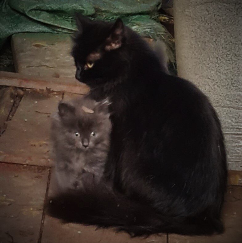 Копия мамули, только серебряная