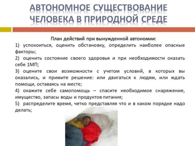 Правила поведения на природе: чего нельзя делать в лесу, чтобы не нарушить закон