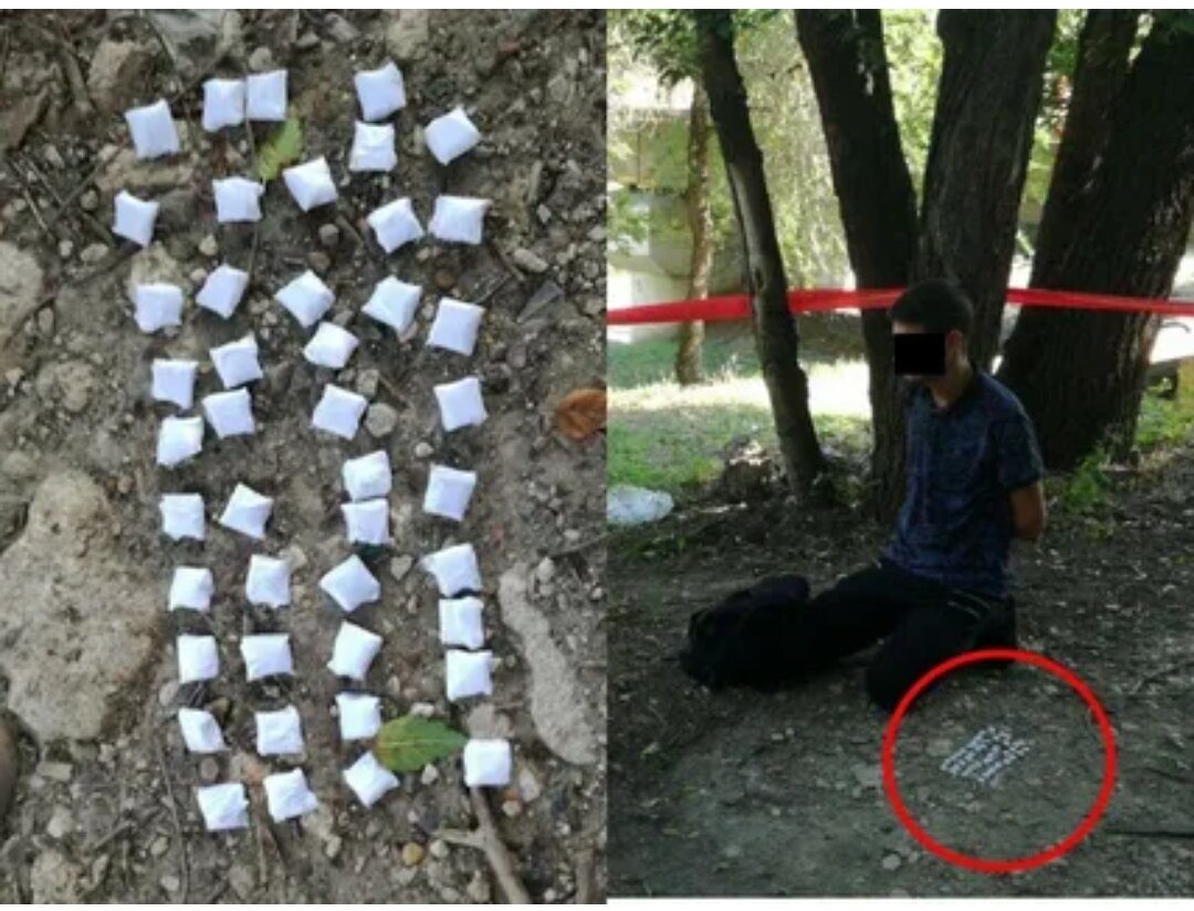 Фото из открытых источников.