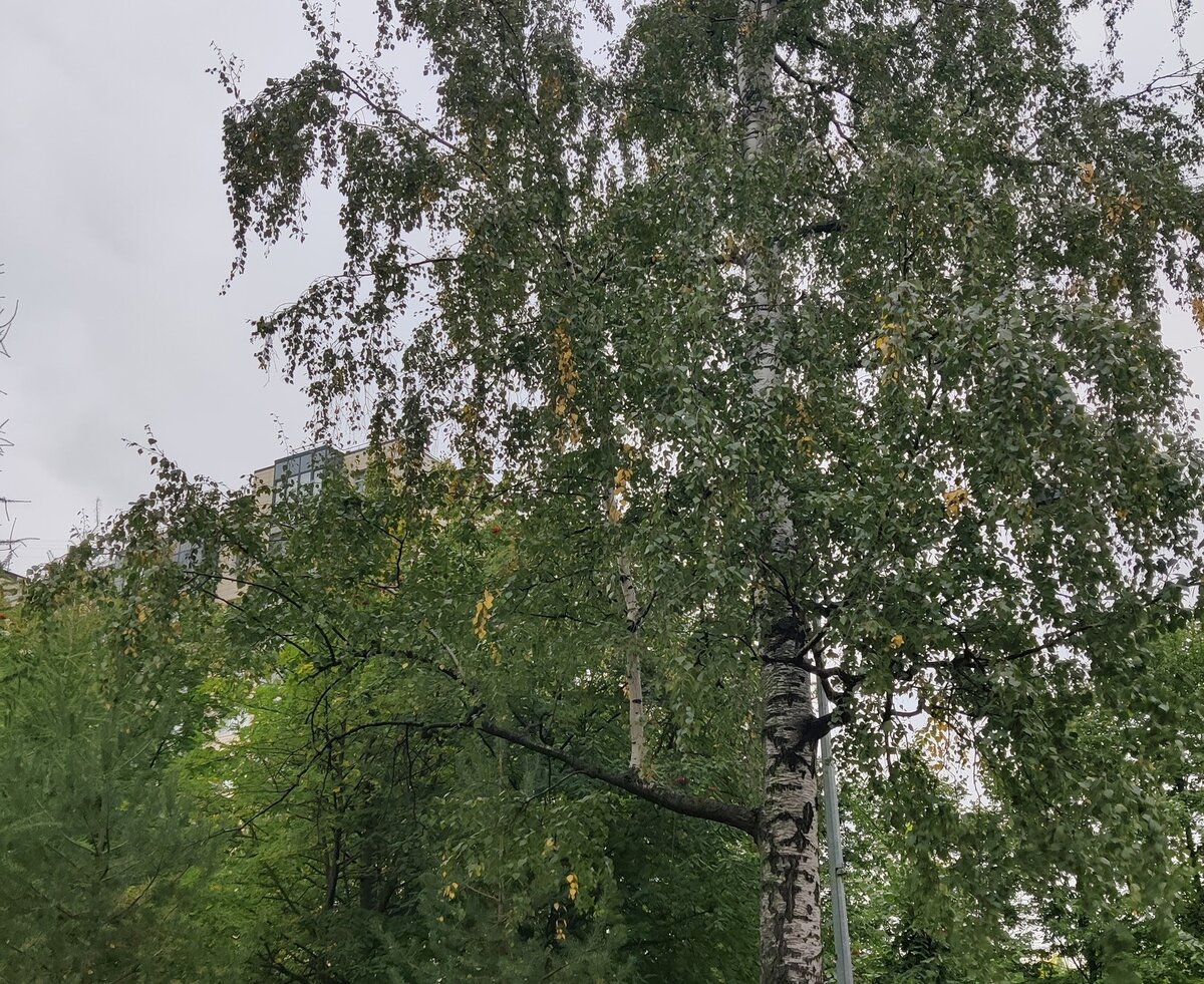Фото: Антон Кубышкин