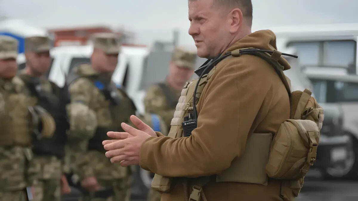 Валерий Залужный. Фото: кадр из видео