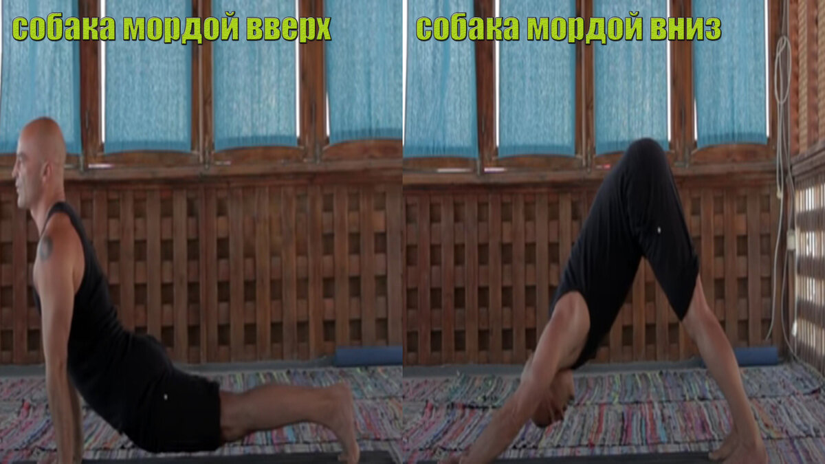 Кадры из видео: Йога для чайников - Йога для начинающих Ярослав Лукашевич