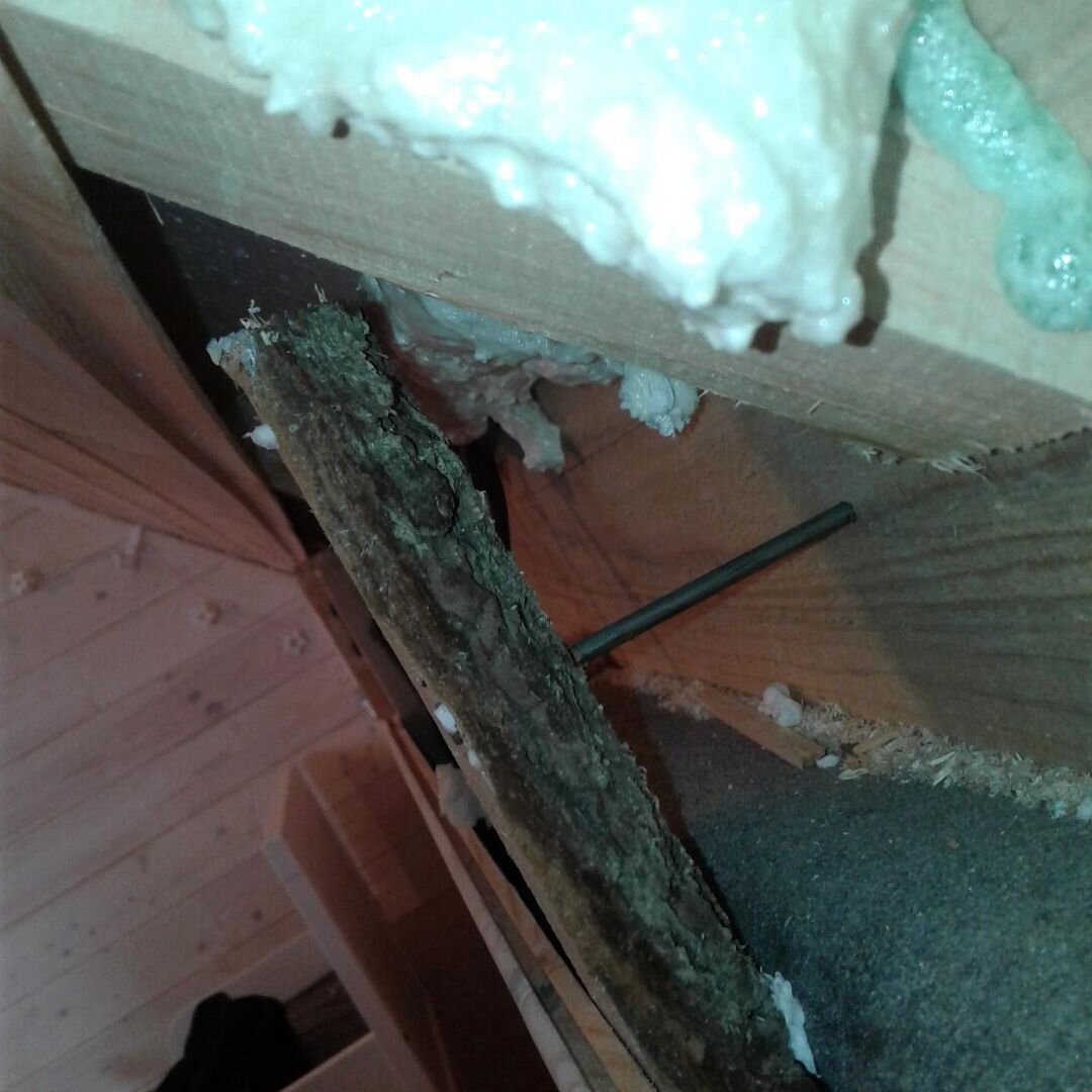 Источник: https://www.instagram.com/p/CKbNoMkllFV