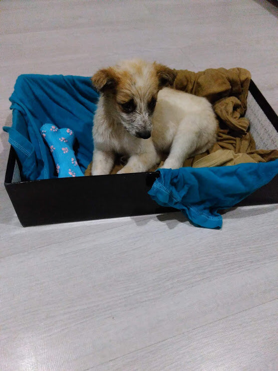 После мытья