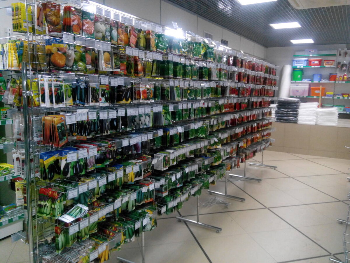 Выбор семян в магазине