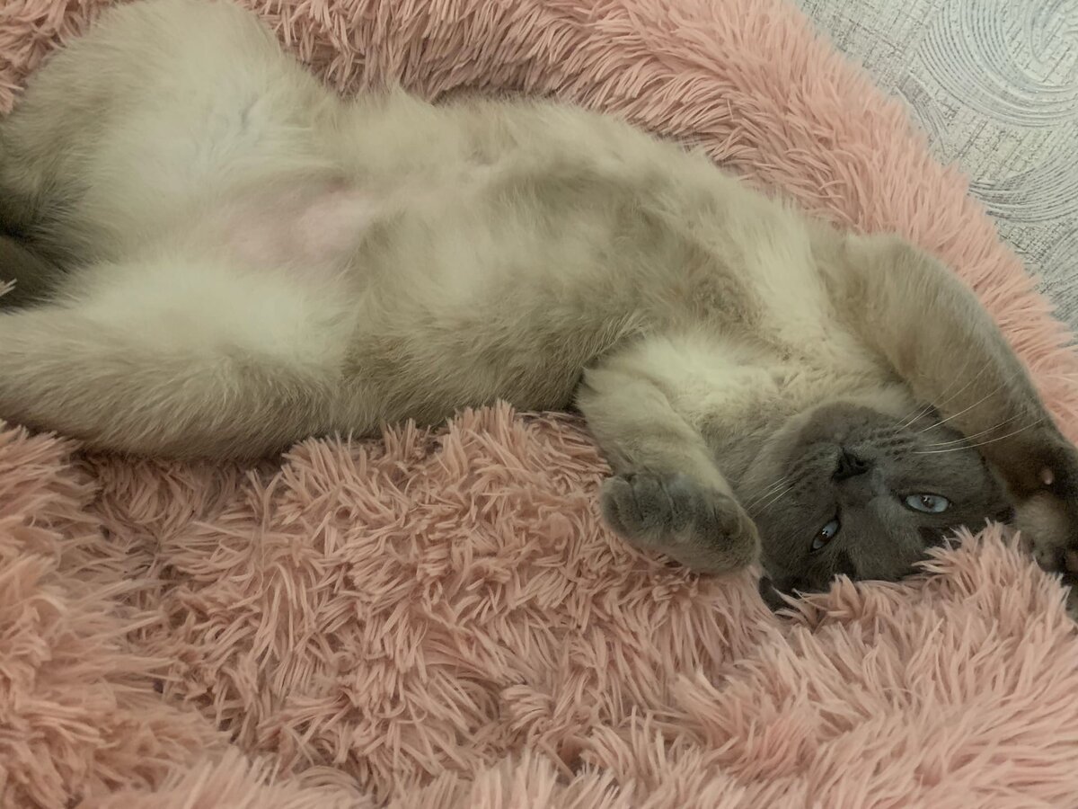 Доброе утро!