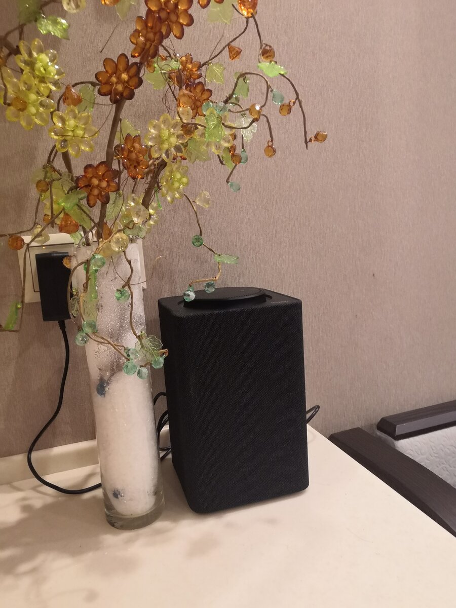 Алиса отдыхает под деревом:)