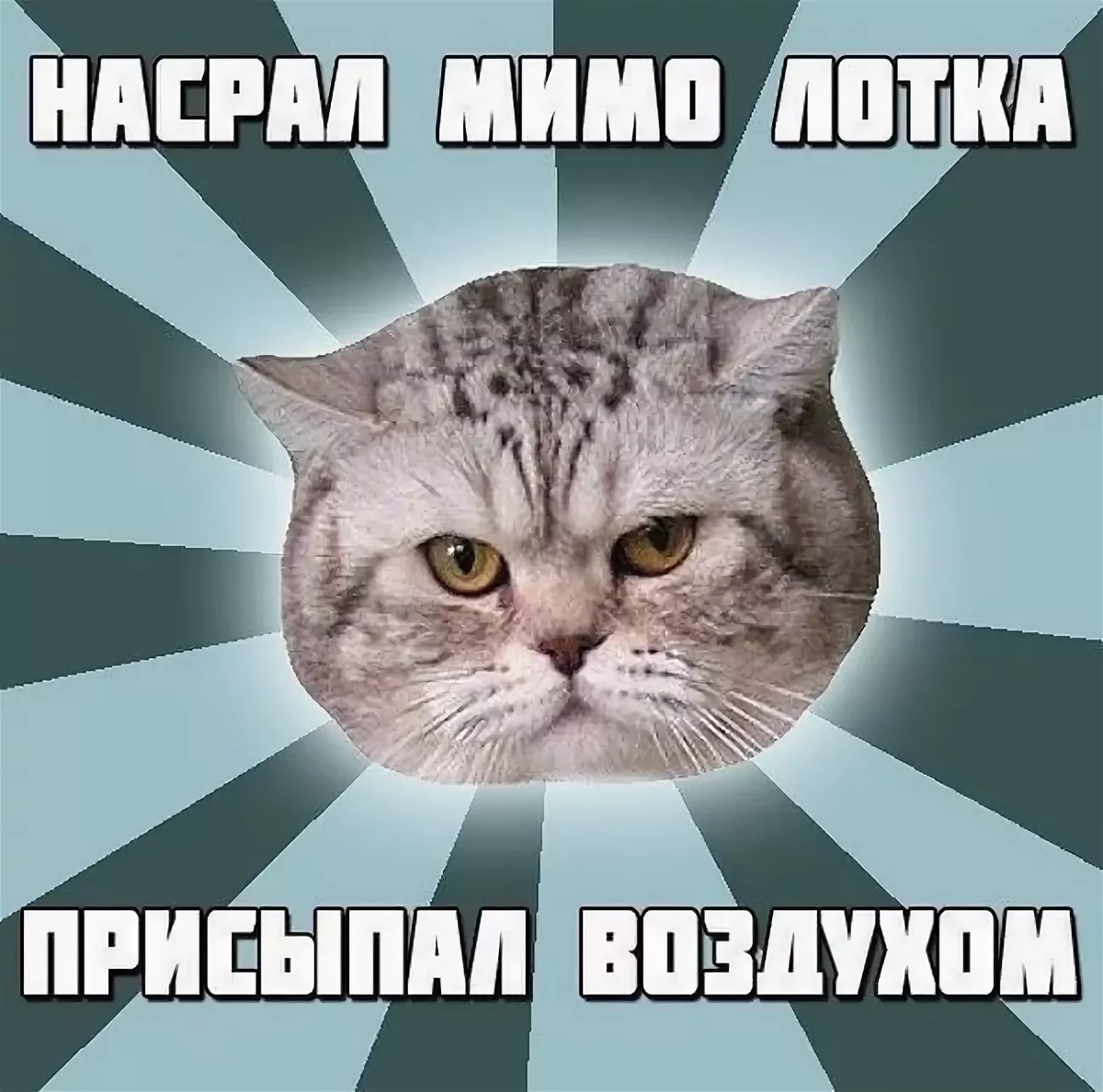 Котэ лучший сборник