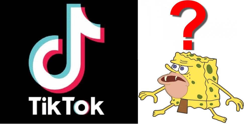 Что такое тик ток? #развлечение #юмор #интересные факты 