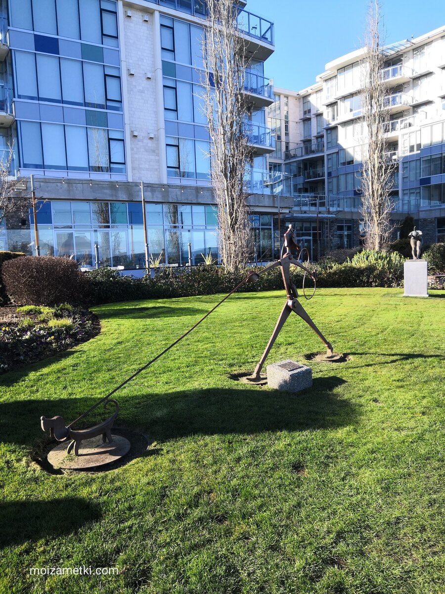 Остров Ванкувер январь