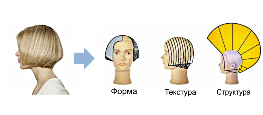 Ножка Боб-каре простригается в зависимости от того, какая будет длина в стрижке. Ее можно оставить подвижной, а можно сделать достаточно короткой.