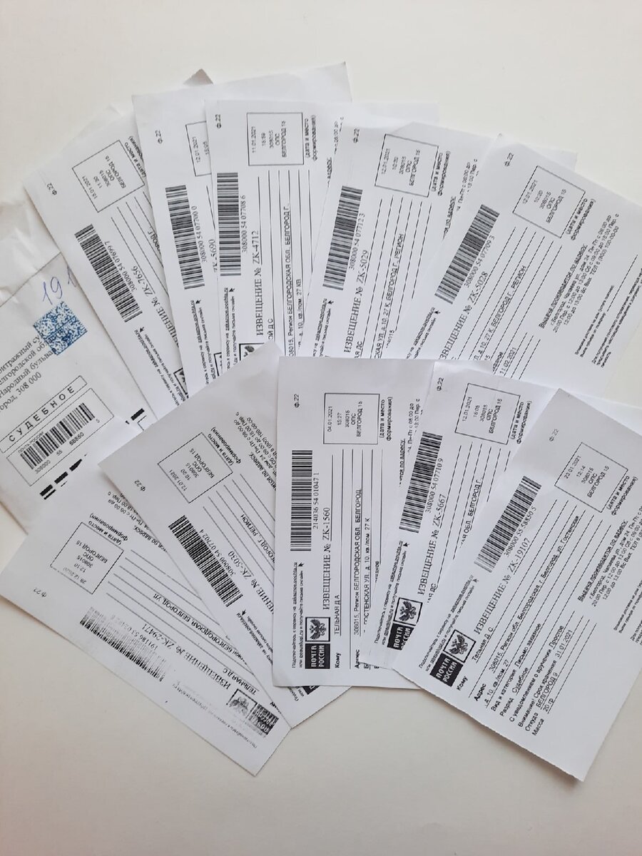 Столько писем, повесток и претензий пришло ко мне за один месяц! 