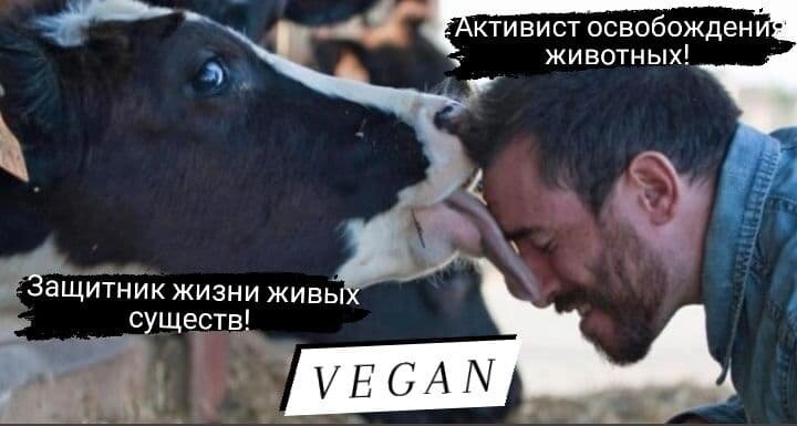 «Тысячи людей, которые заявляют, что «любят» животных, один или два раза в день садятся за стол, дабы насладиться плотью тех несчастных созданий, у которых отняли всё, которые перенесли ужасные страдания и кошмар скотобойни». 
Джейн Гудолл, д-р философии, борец за охрану природы, специалист по изучению приматов