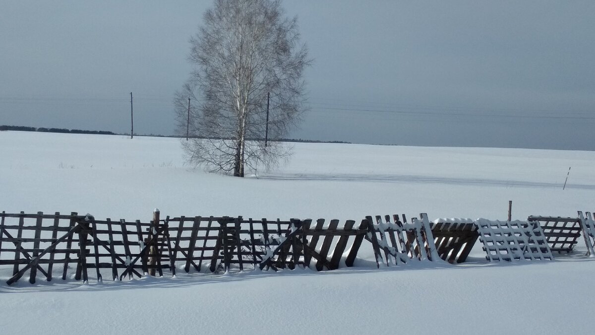 Для чего ставят забор