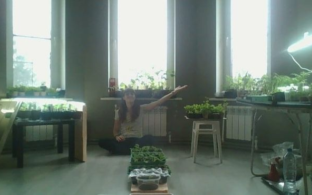 Рассада, весна 2020