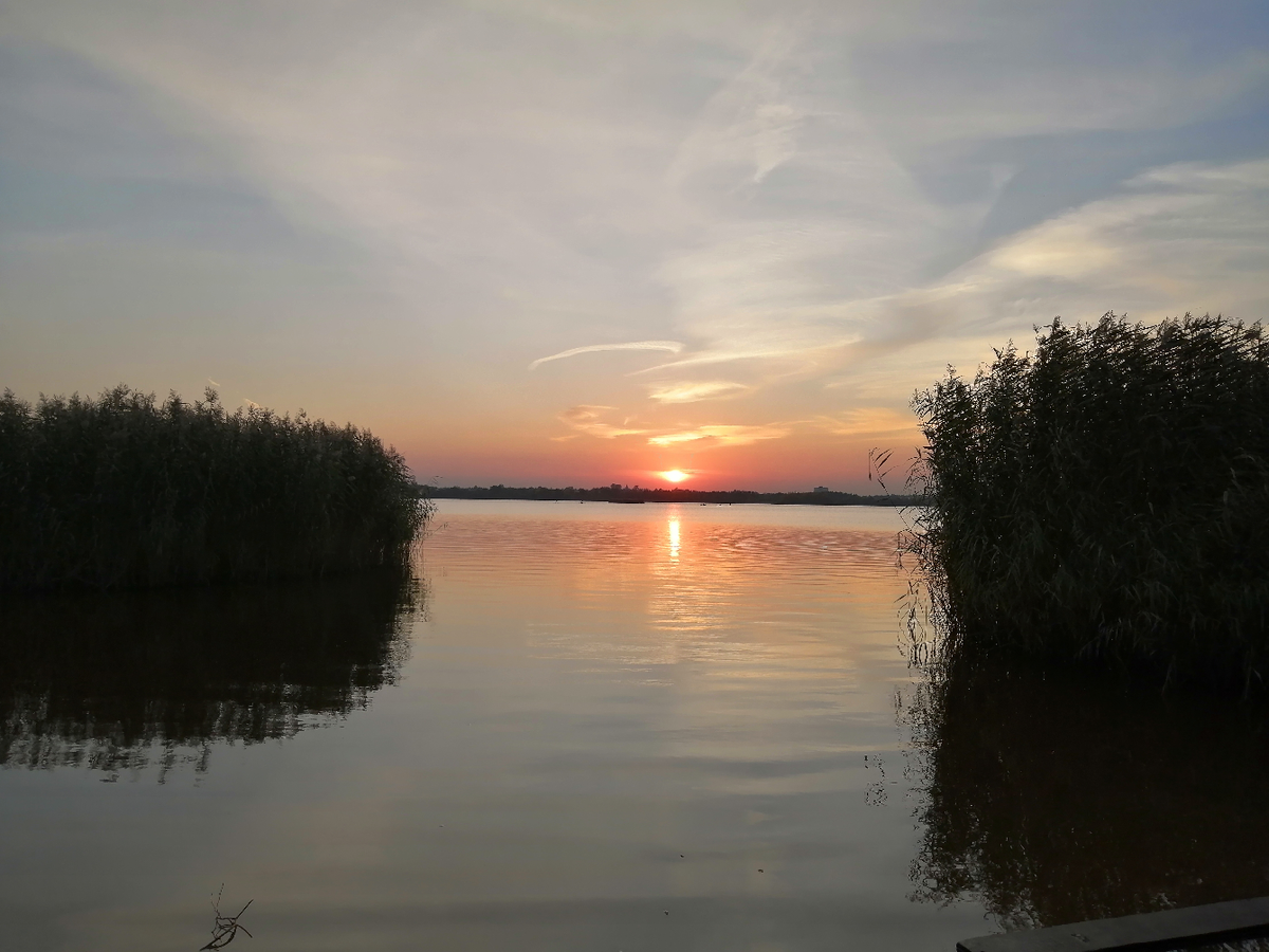 (Юнтоловский заказник, недалеко от дома)