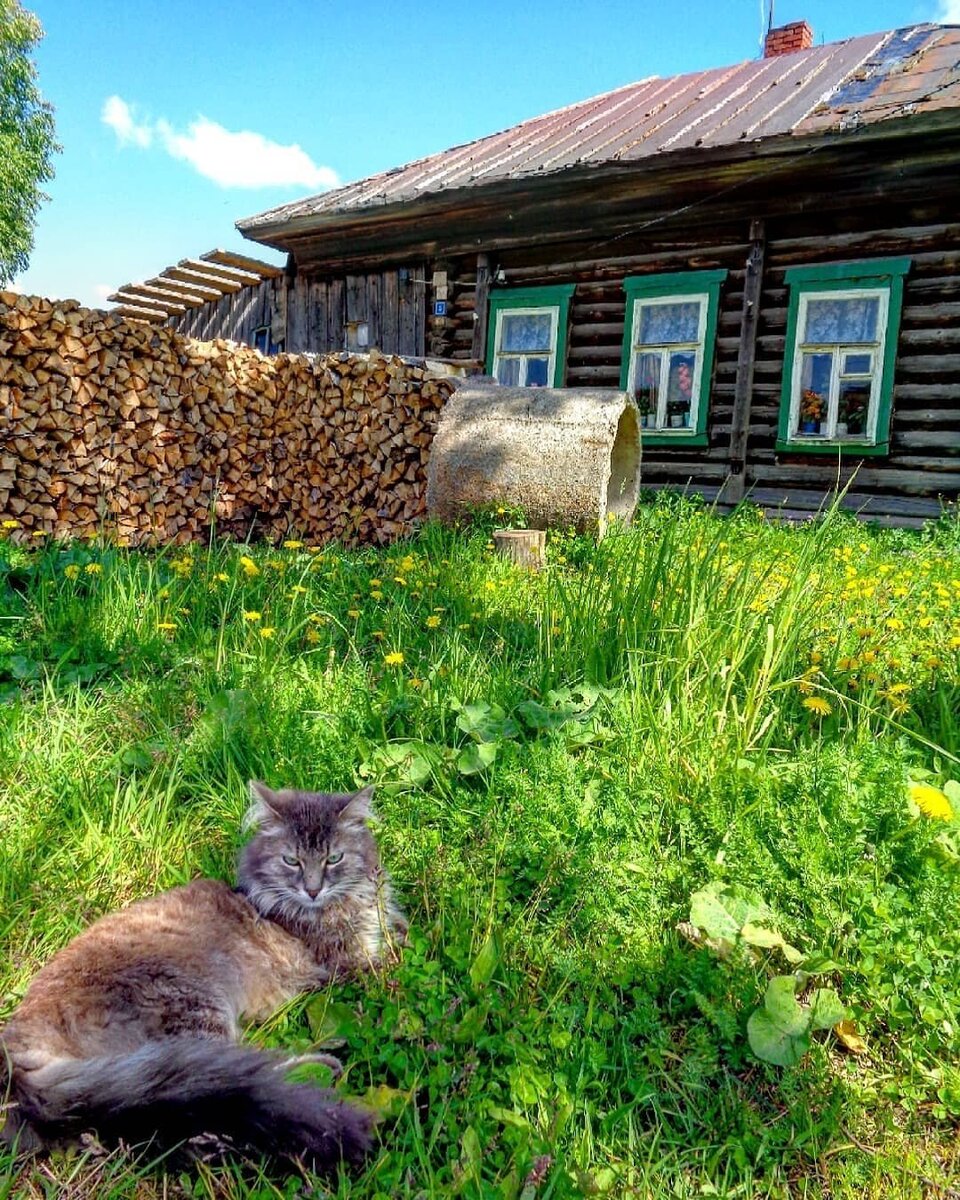 Город или деревня? Где лучше жить? Перспективы или жизнь 