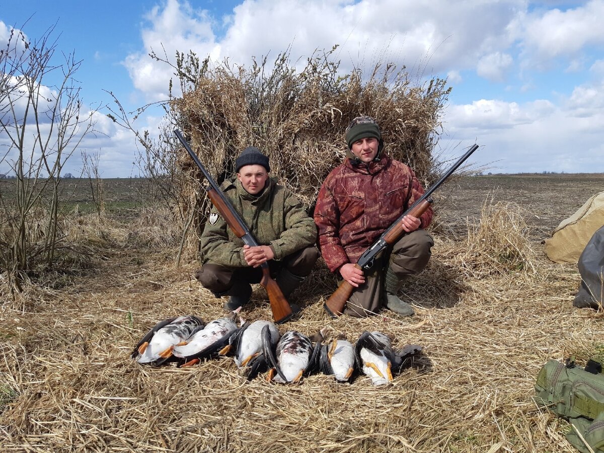 Охота на гуся 2020 год