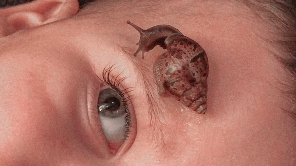 Детёныш Улитки Ахатина и мой младший сын Макс 