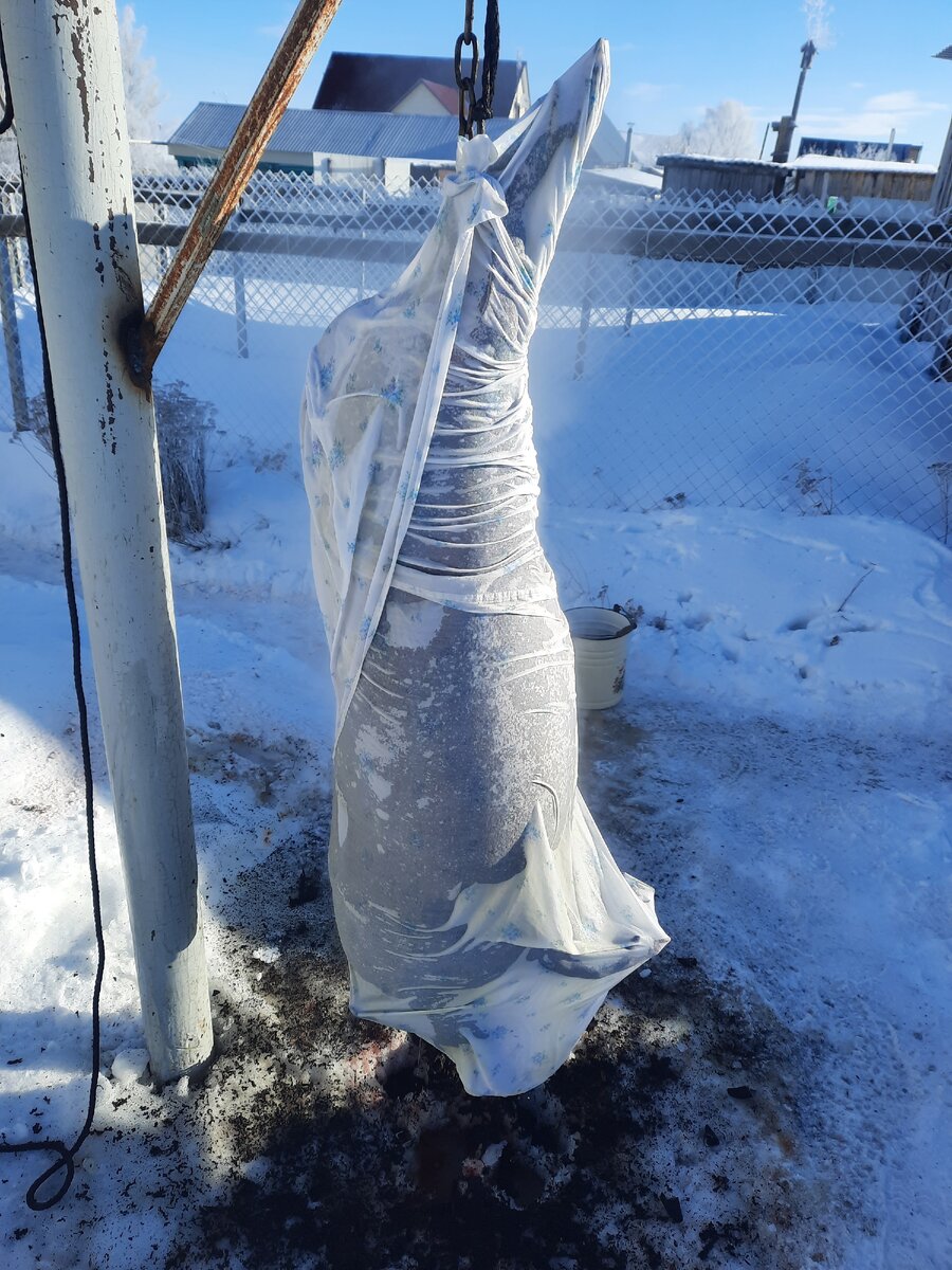 у порося сауна