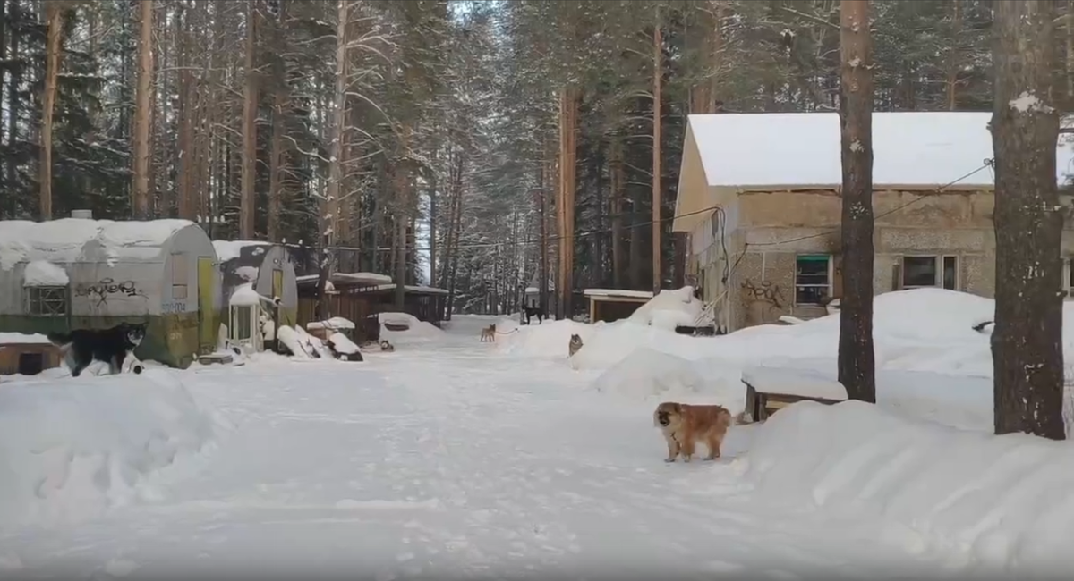 Муха первая встречает всех гостей, рабочих, волонтеров, всегда дарит заряд радости от своего солнечного вида. 