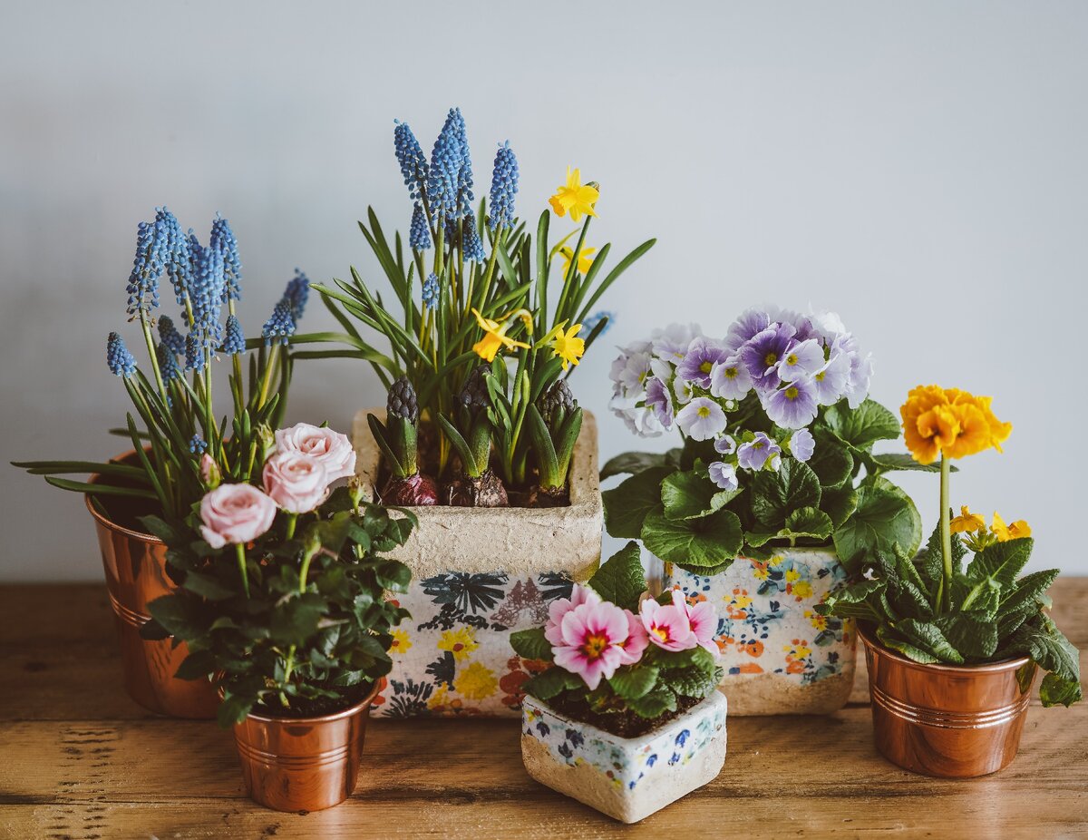 Photo by Annie Spratt on Unsplash