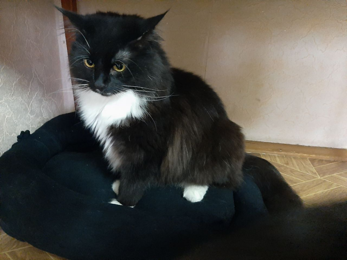 Ветер в любимой «лодке»