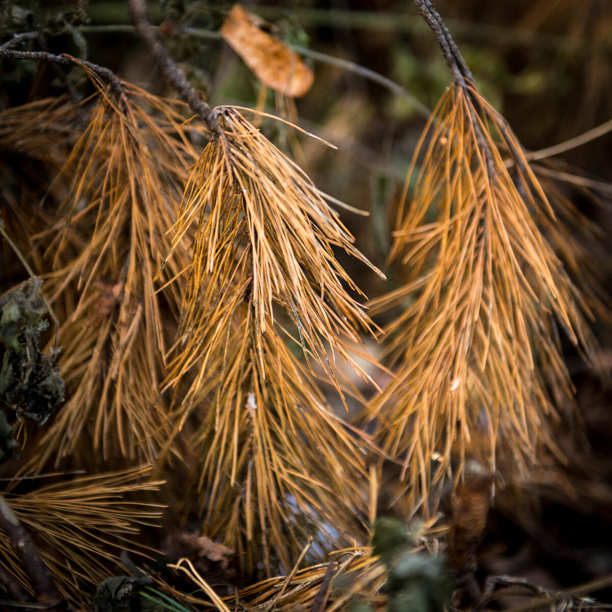 Фантазировать...                                                                                             Фото автора