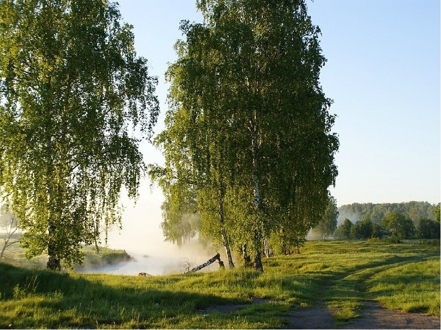 Фотографии о родине