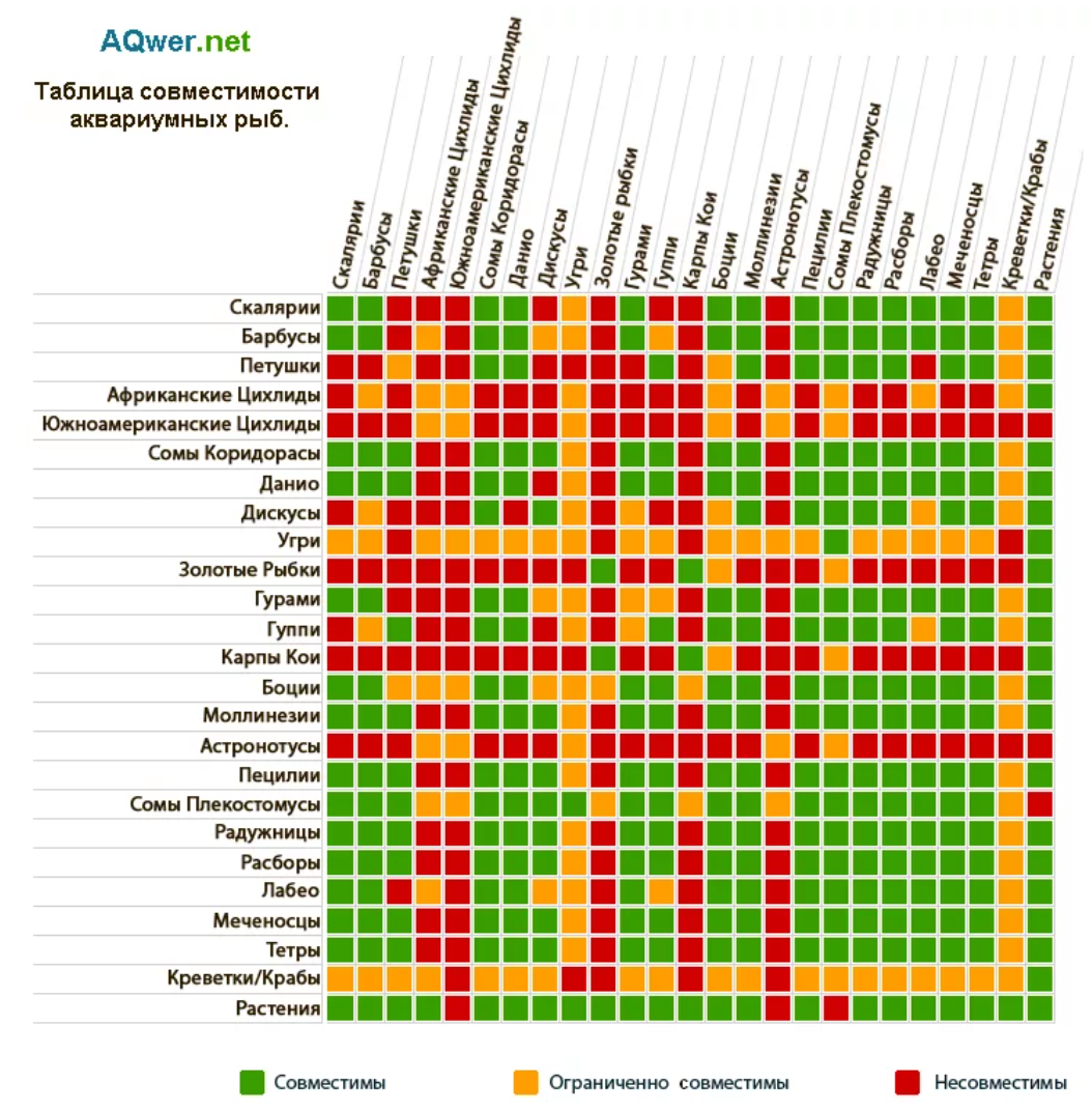 На сколько совместимы рыбы. Совместимость рыб в аквариуме таблица. Таблица совместимости рыб в аквариуме Скалярия. Таблица аквариумных рыбок по совместительству. Совместимость скалярий с другими рыбами в аквариуме таблица.