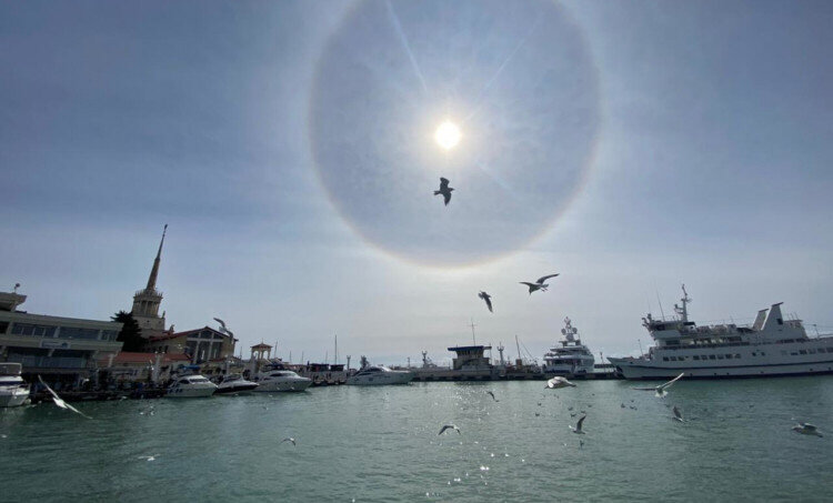 Фото:моё Гало морпорт