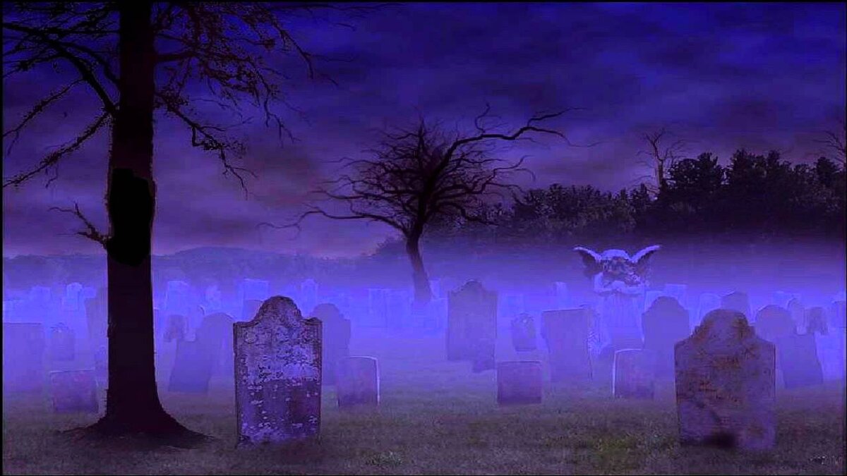 взята из открытого источника