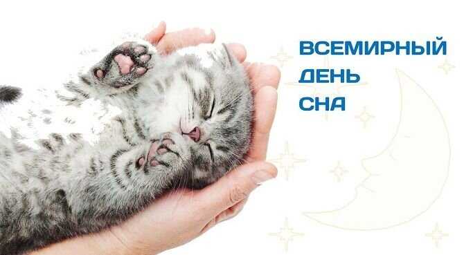 Поздравления с Днем сна в прозе