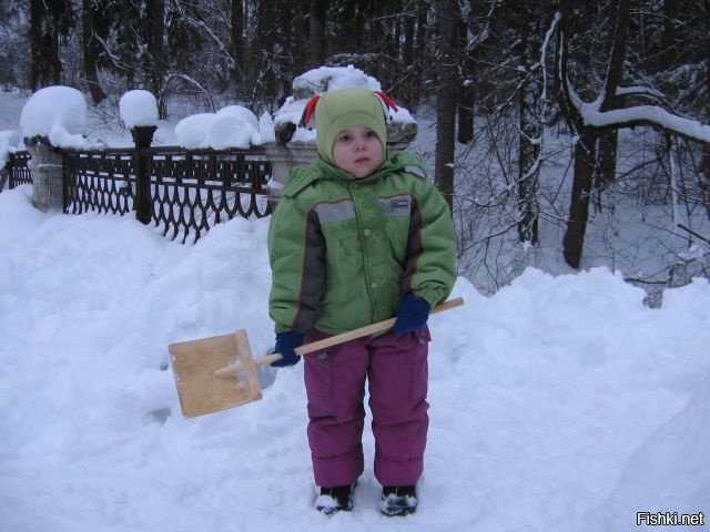 Помощник!