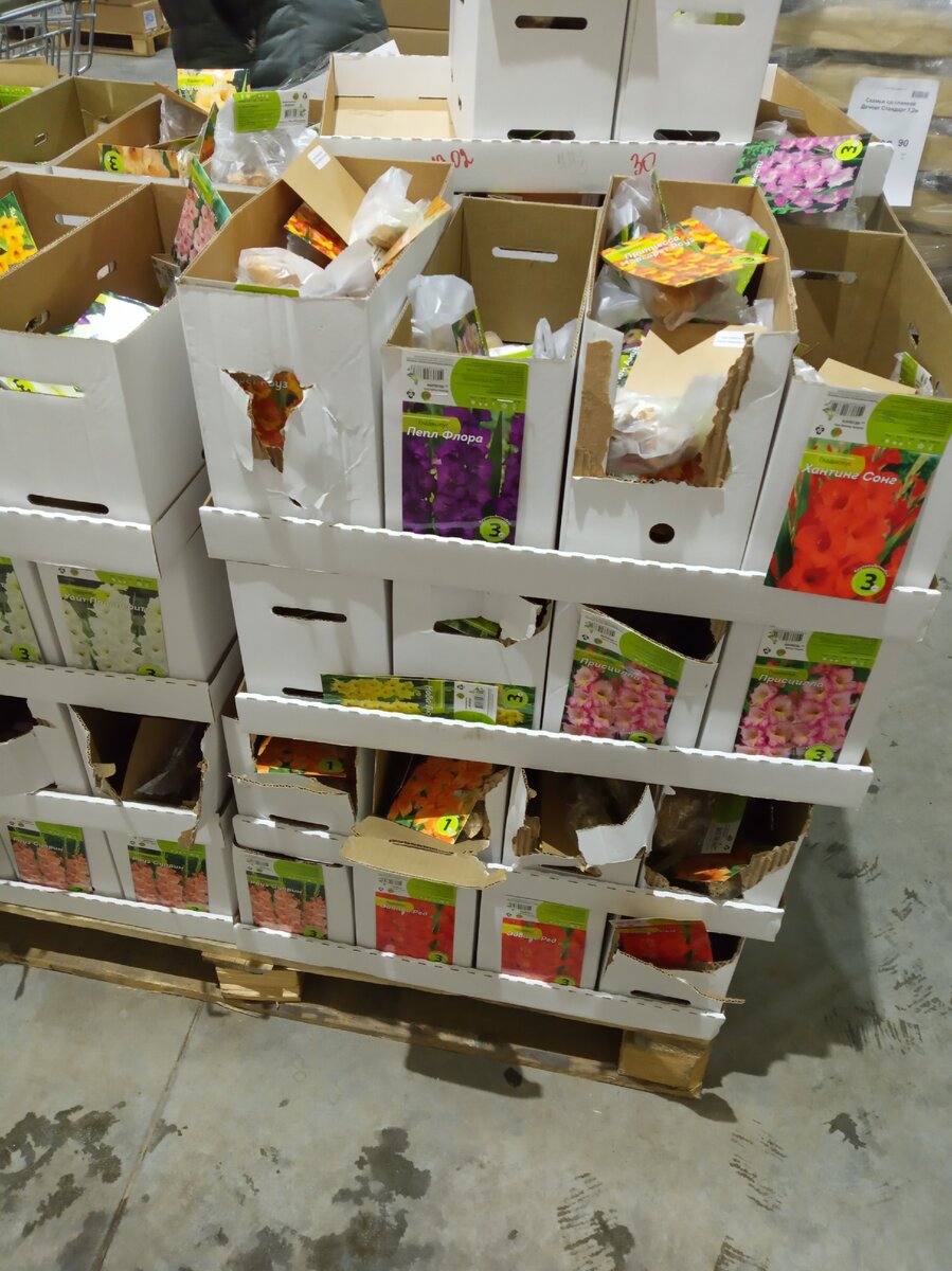 Фото из личного архива