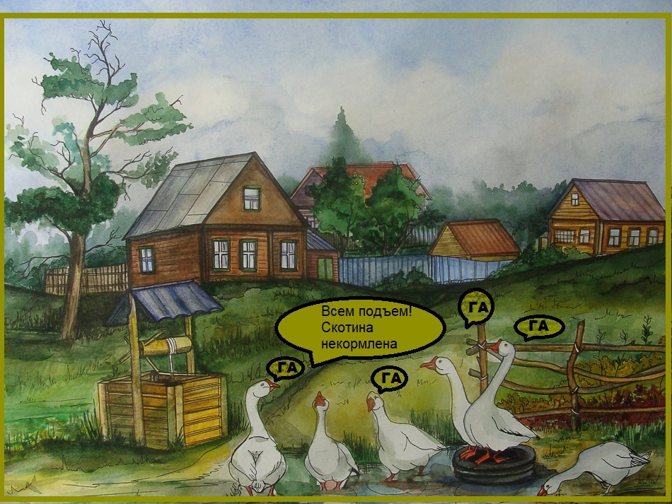 Каждое утро перед домом Кристины разгуливает живность. Своими криками гуси и куры будят Кристину в 5, а то и в 4 утра. А соседи только и отвечают: "Ачотакова?! У всех гуляют!" И действительно все, у кого есть живность, выпускают их на вольные хлеба.