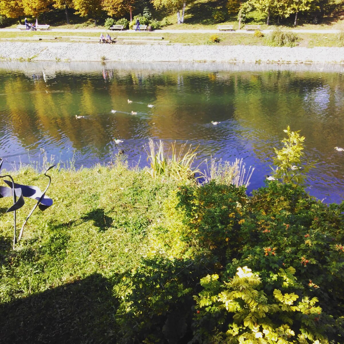 Городской водоём. Фото автора.