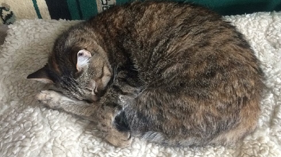 Лукерья. Фото автора