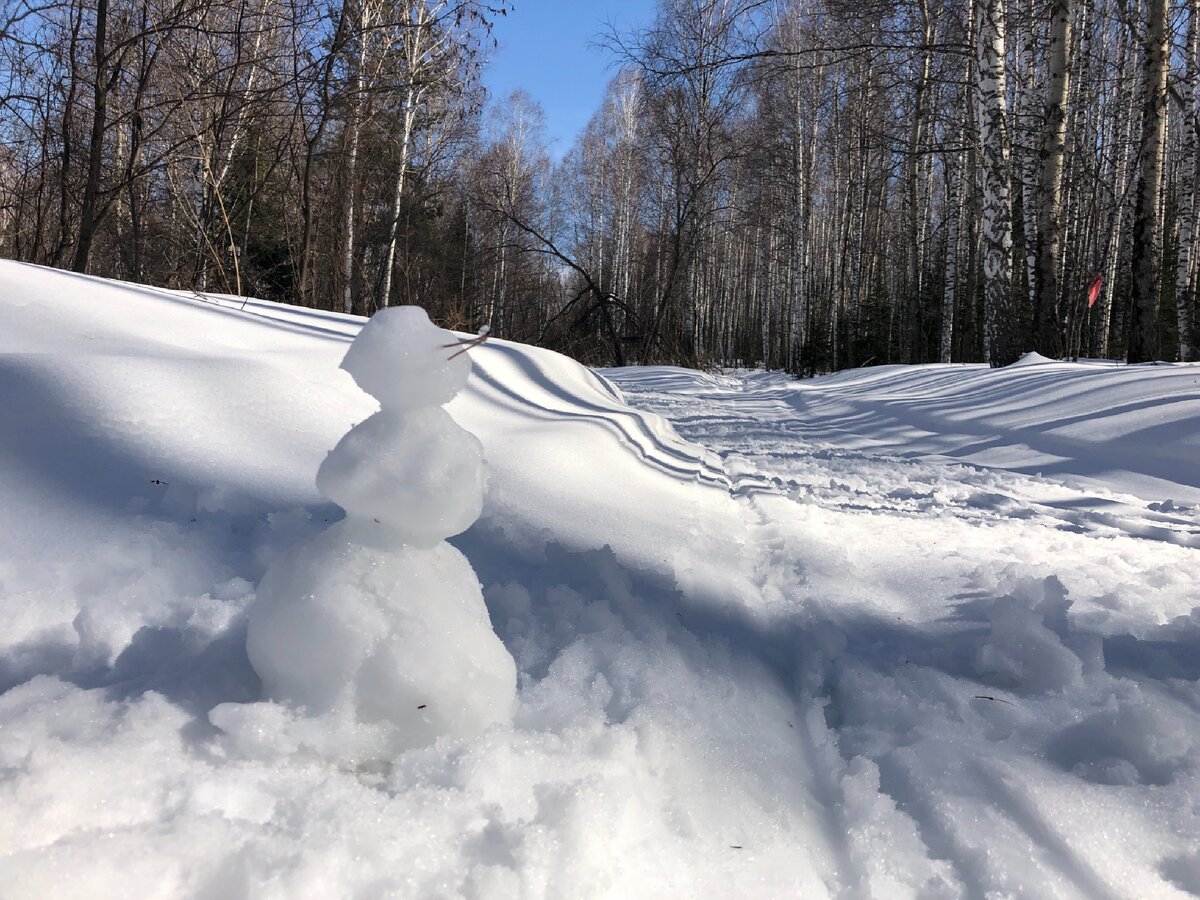 Слепила снеговика из подтаявшего снега. Фото автора