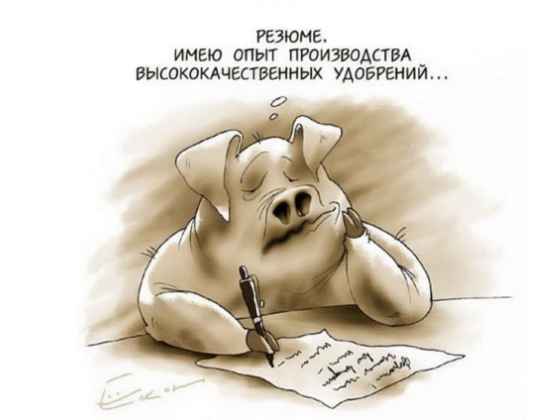 Из открытых источников, автор не известен. 