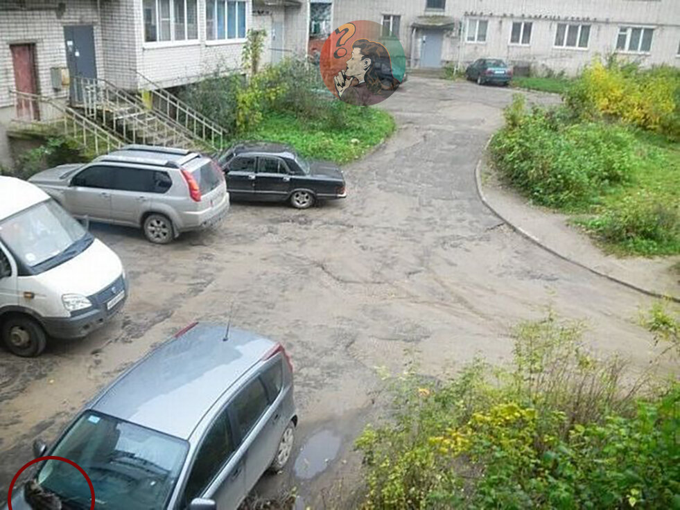 Неожиданно, да?