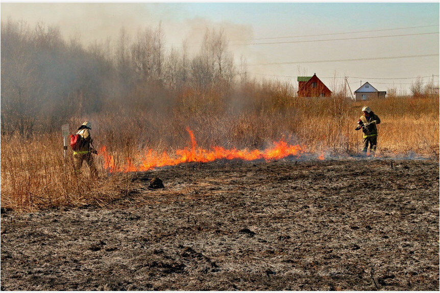 Фото: vdposmolensk.ru