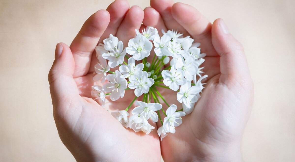 Фотобанк Canva