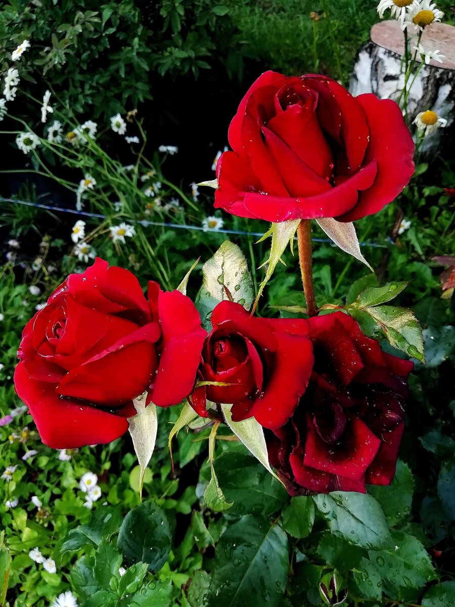 Фото Ирины Жениной