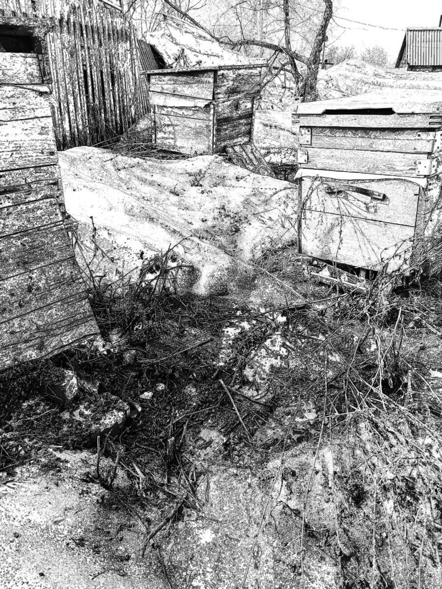 Авторское изображение.