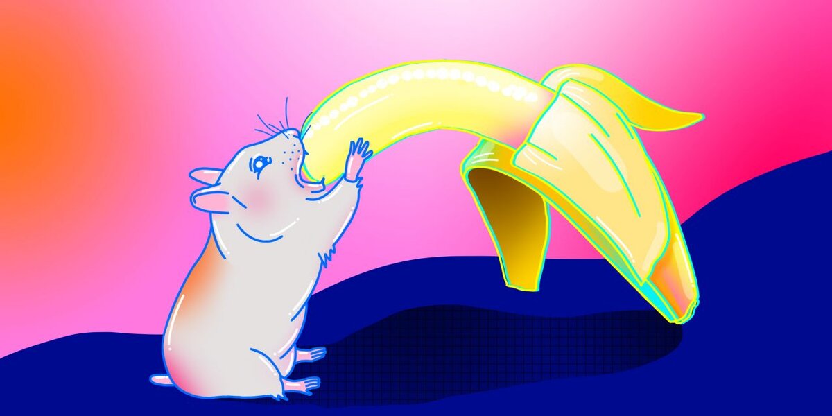 lifehacker