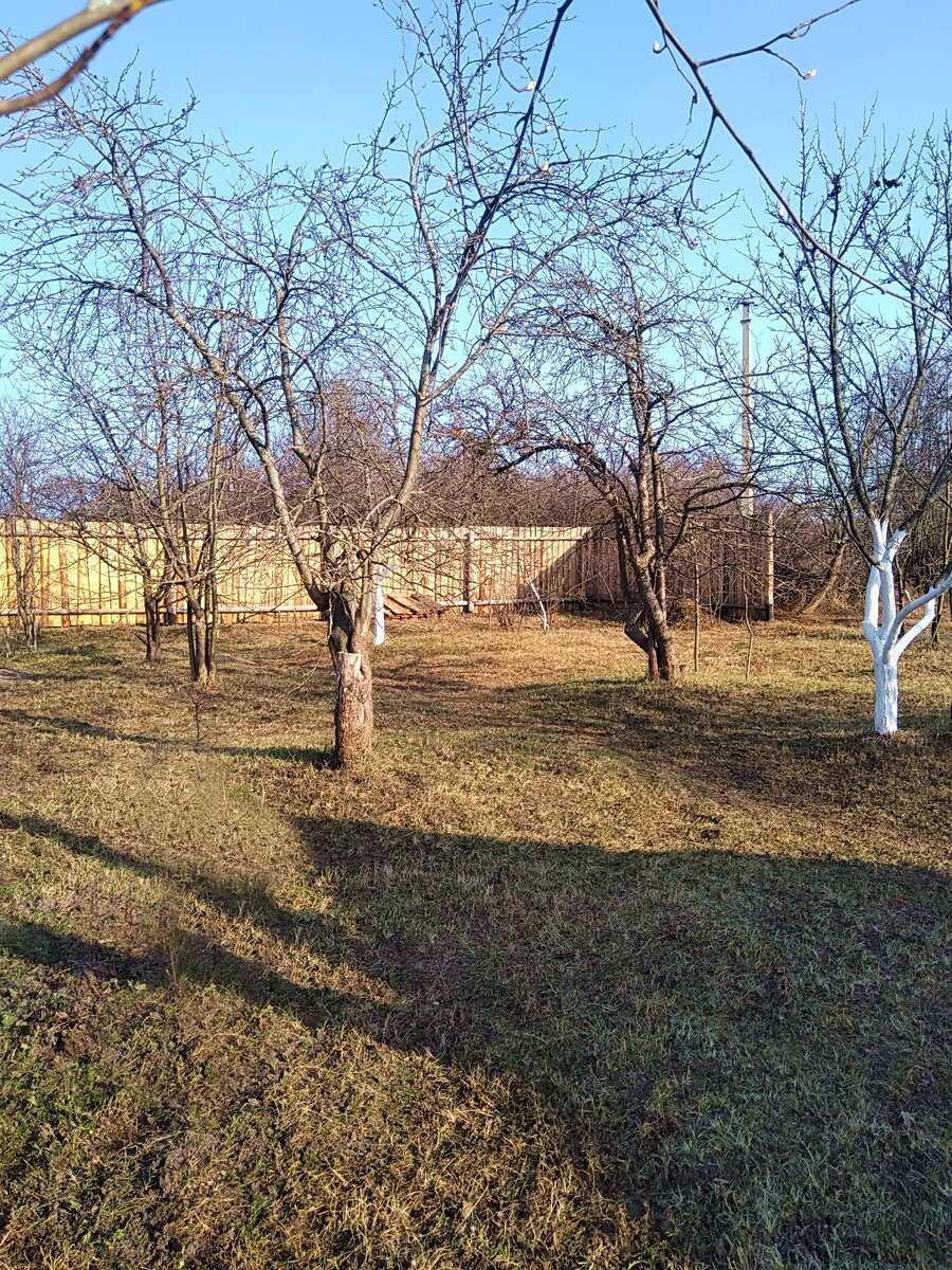 Что с ним стало сейчас.