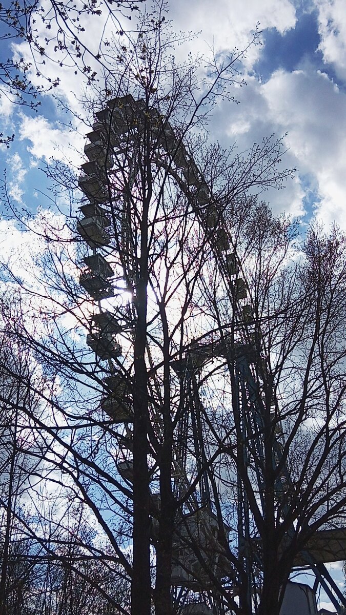 Колесо обозрения в Измайловском парке культуры и отдыха.